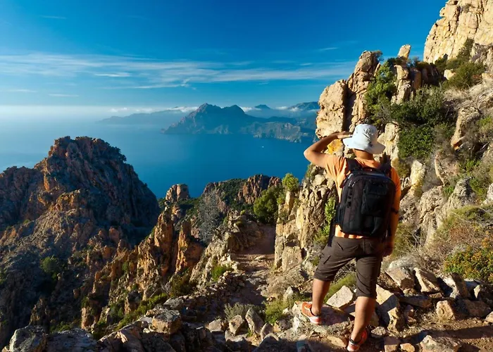 Ornella - Terrace Wifi Cozy - By Tgb * Αζάτσιο